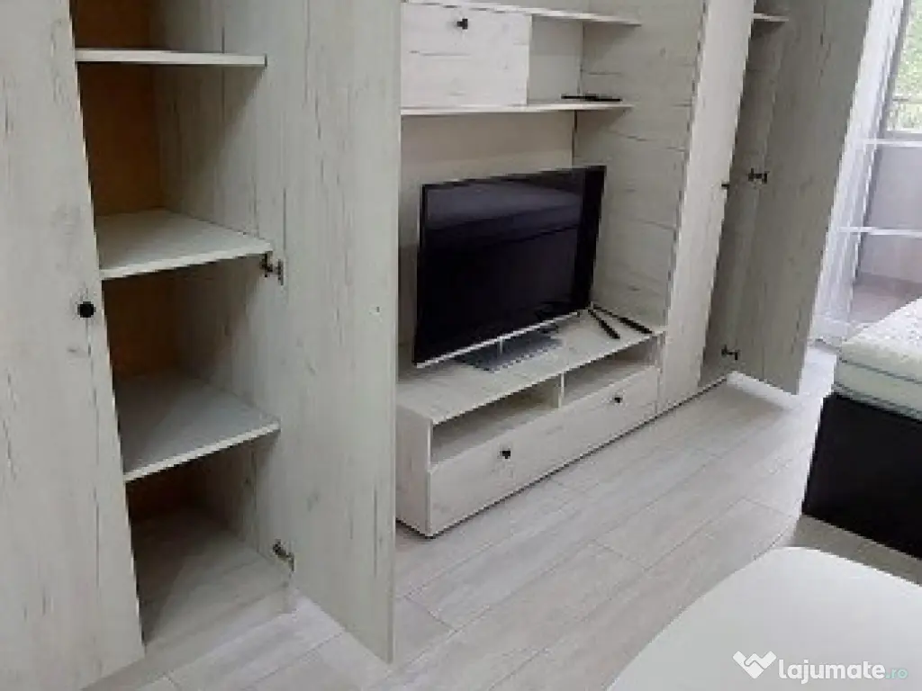 Apartament cu o camera Ultracentral