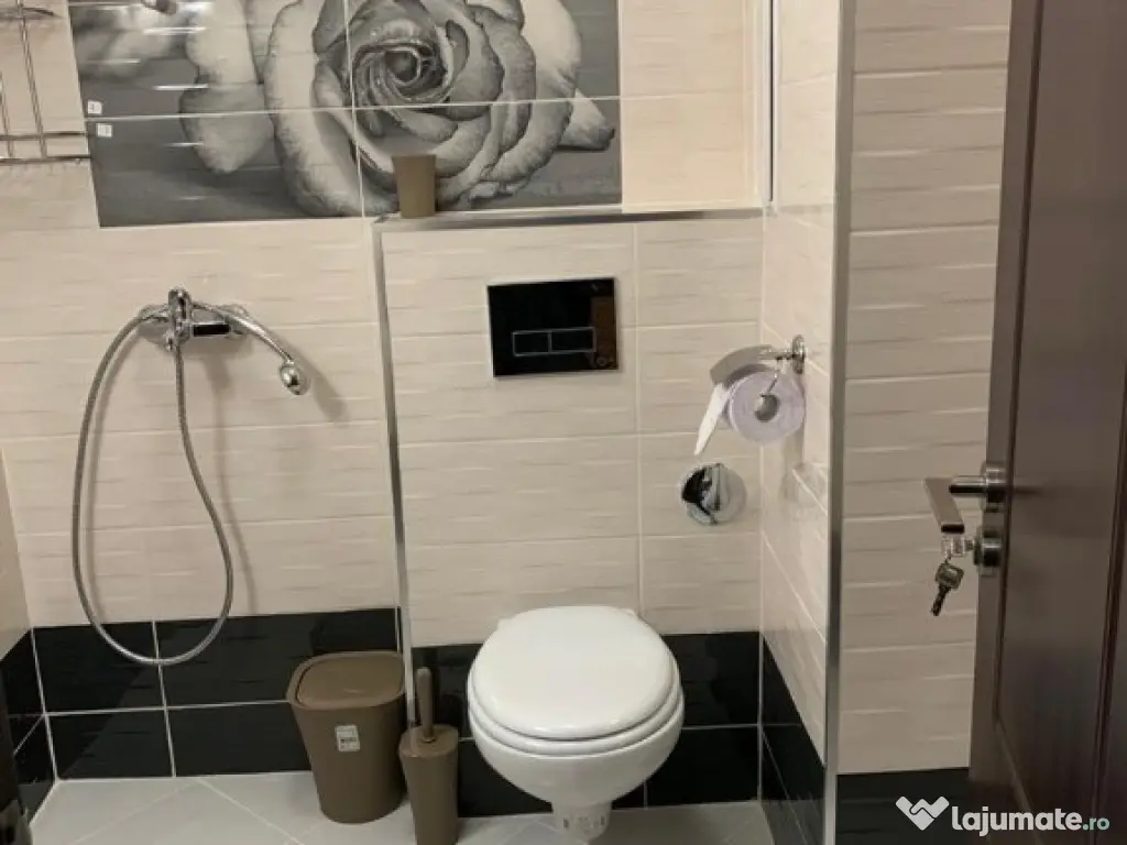 Apartament cu o camera Ultracentral