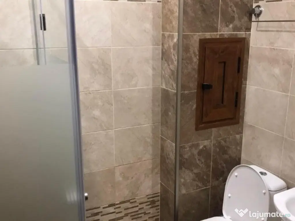 Apartament o camera Sagului