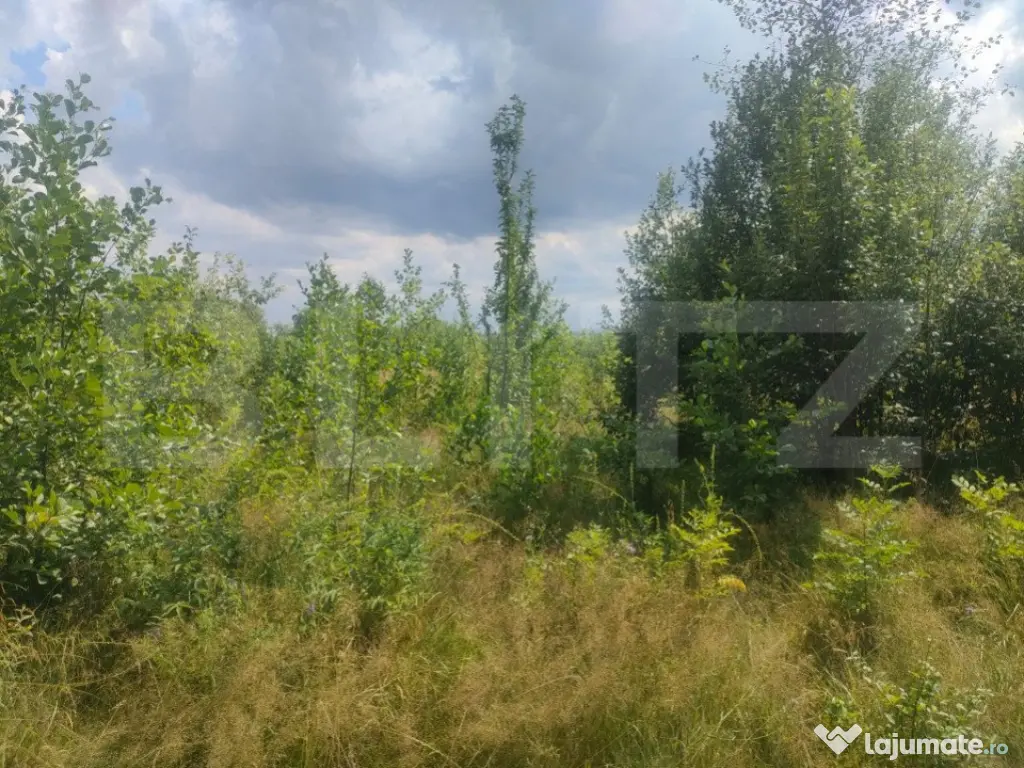 Teren intravilan, 5857 mp, Baltati, Horodnicu de Sus