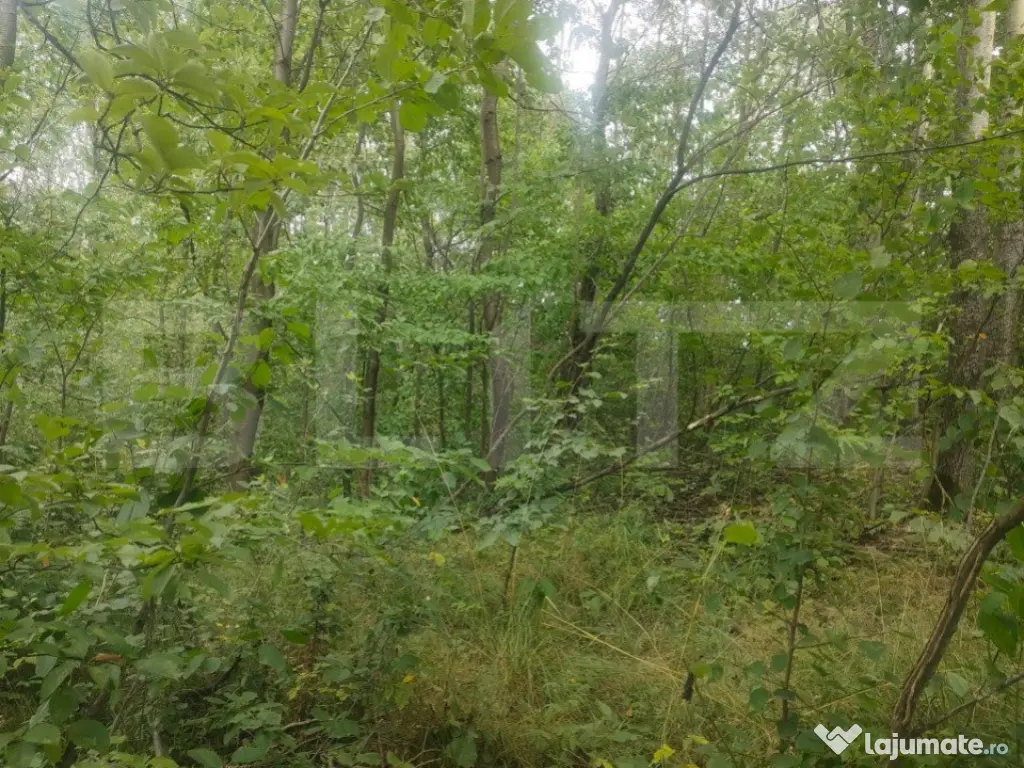 Teren intravilan, 5857 mp, Baltati, Horodnicu de Sus