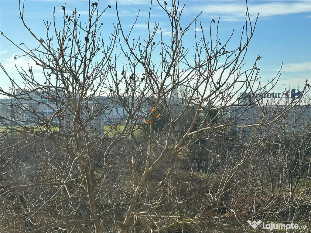 Garsoniera Renovata Noul Mall