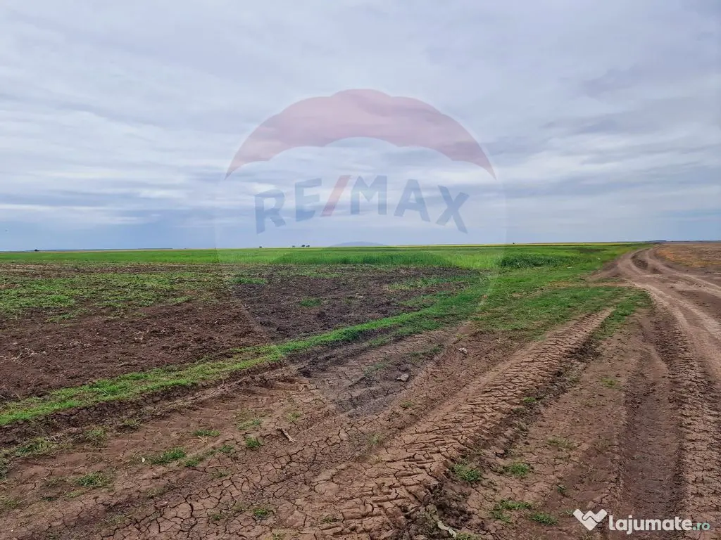 Teren 56,700mp Mischii / Strada Eroilor 