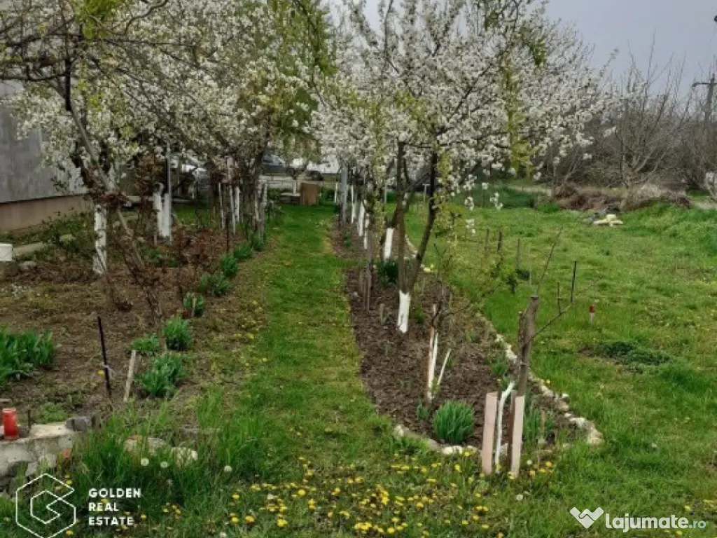 Duplex parter, cu gradina si mini livada 