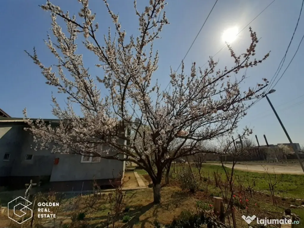 Duplex parter, cu gradina si mini livada 