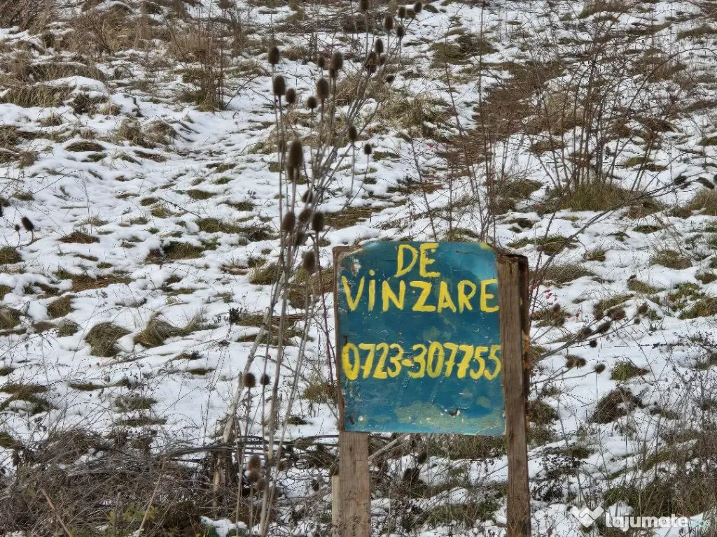 Teren intrav, langa Cart RIVIERA , 1 HA , utilitati , sosea