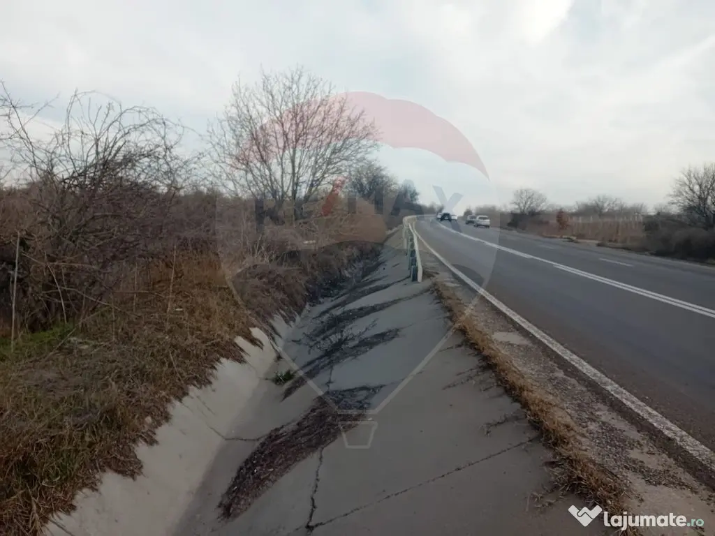 Teren 1,603mp Carcea / Aleea Tarlaua 37, Parcela 63/1 