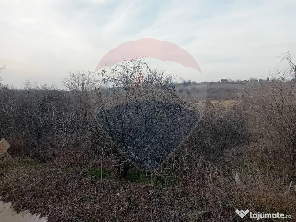 Teren 1,603mp Carcea / Aleea Tarlaua 37, Parcela 63/1 