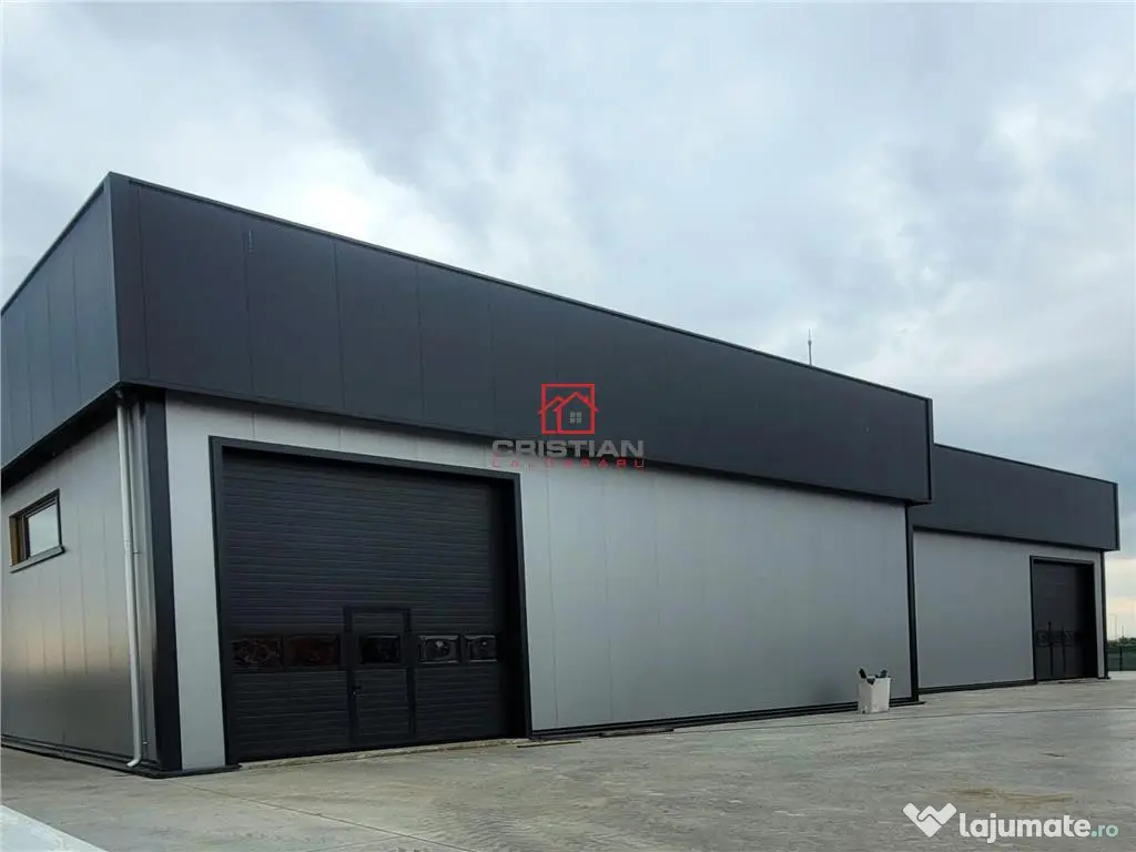 Depozit/hala/spatiu industrial Domnesti - Centura, Ilfov 