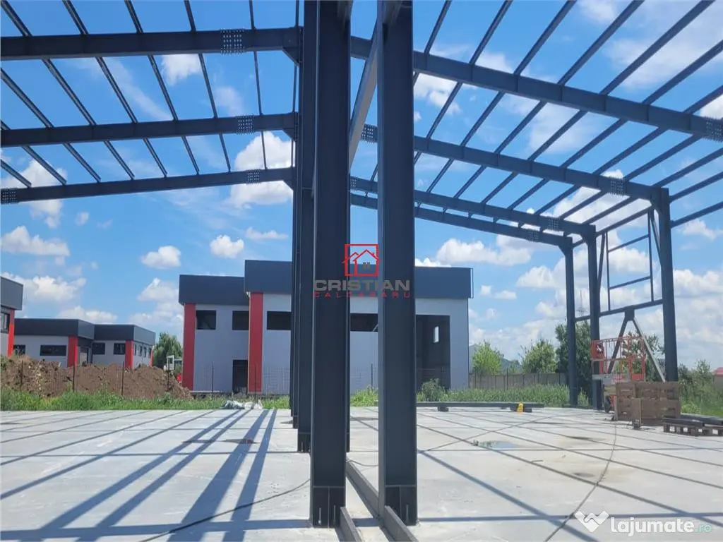 Depozit/hala/spatiu industrial Domnesti - Centura, Ilfov 