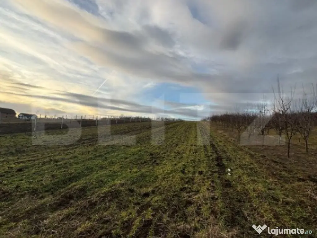 Teren intravilan 33 ari, Simleu Silvaniei