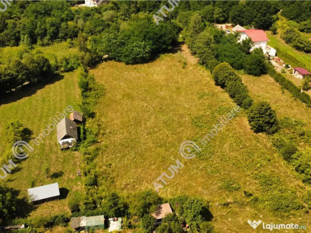 Teren intravilan de 1000 mp in Avrig zona Valea Avrigului 