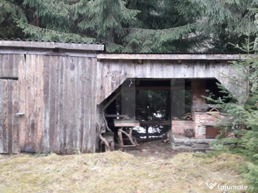 Casă de vacanță în Piatra Fântânele + 4,5 arii teren