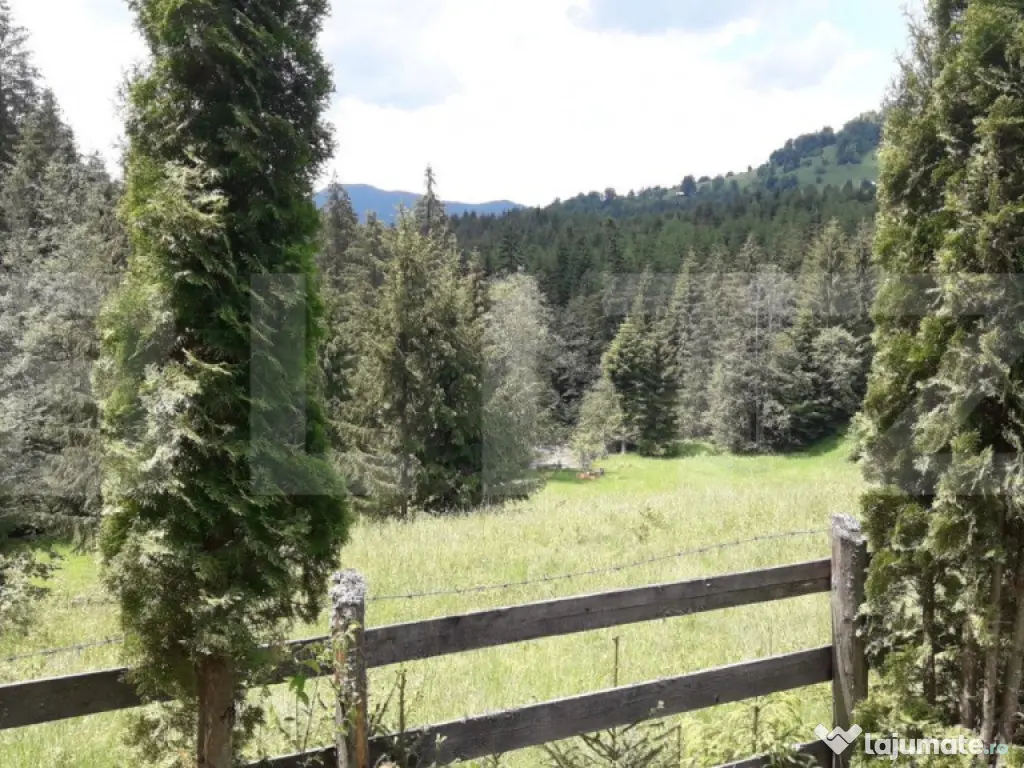 Casă de vacanță în Piatra Fântânele + 4,5 arii teren