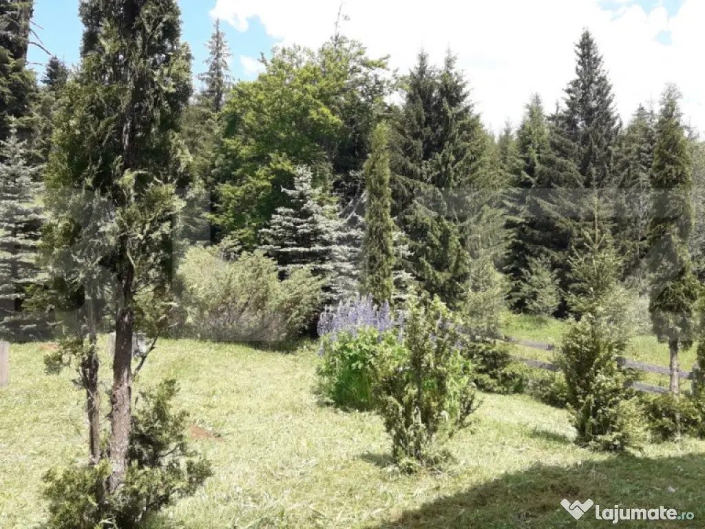 Casă de vacanță în Piatra Fântânele + 4,5 arii teren