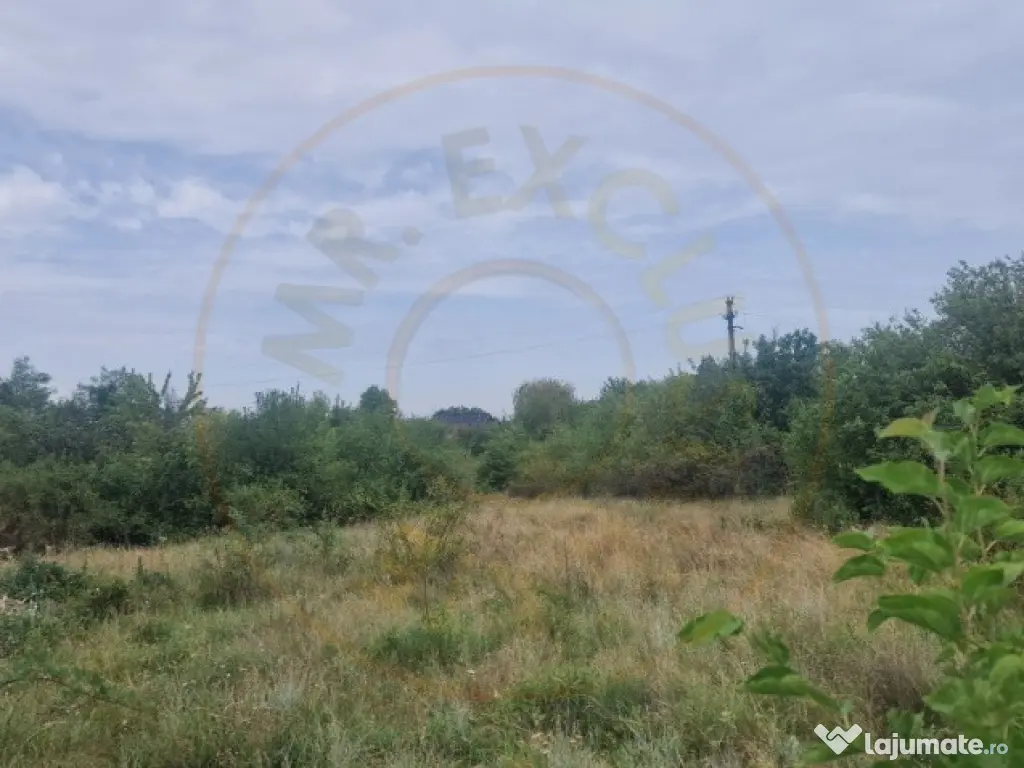 TEREN POIANA LACULUI