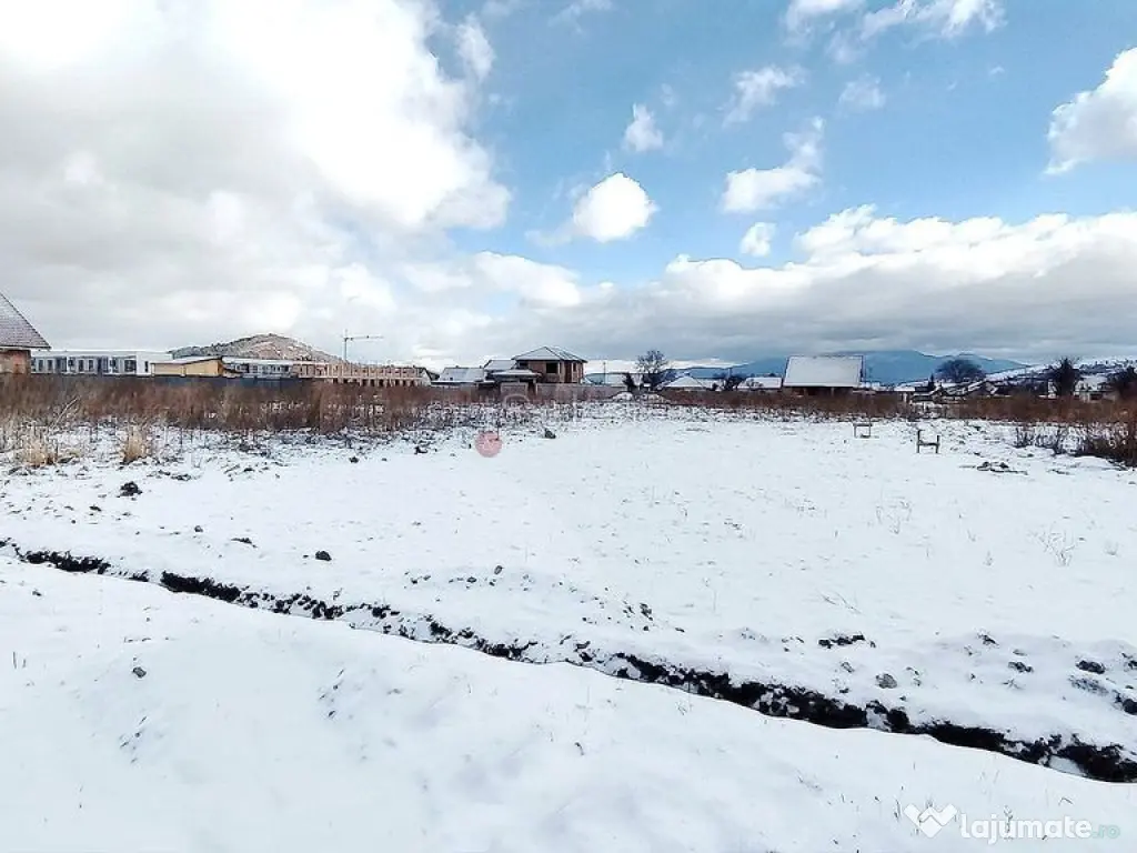 Teren Rezidential Zarnesti 