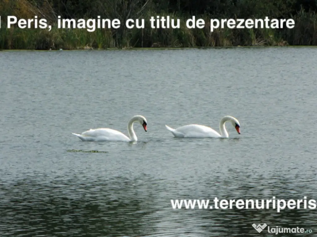 Terenuri IN RATE 500 €/luna, teren 25€ Peris, Tancabesti 