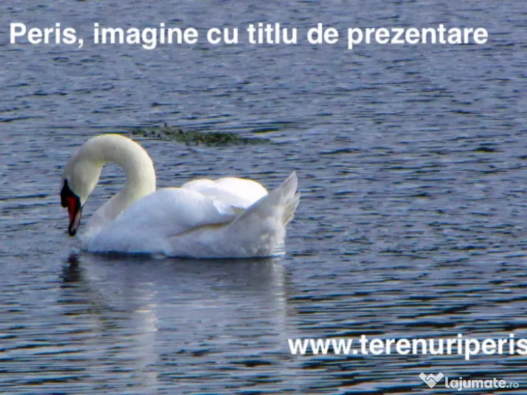 Terenuri IN RATE 500 €/luna, teren 25€ Peris, Tancabesti 