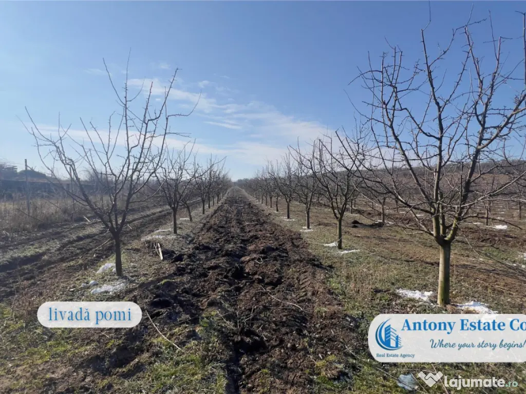 Oportunitate de investitie, Ferma Padurea Galbena - Cehal,