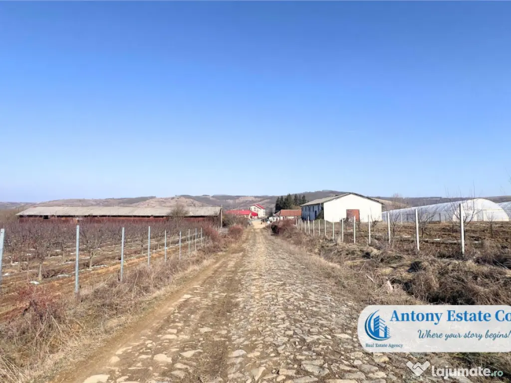 Oportunitate de investitie, Ferma Padurea Galbena - Cehal,