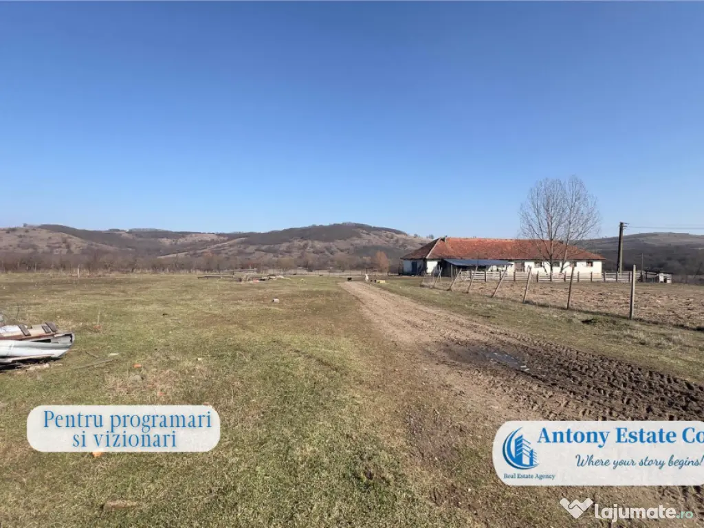 Oportunitate de investitie, Ferma Padurea Galbena - Cehal,