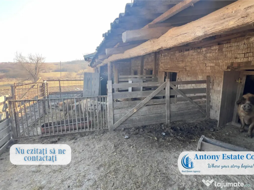 Oportunitate de investitie, Ferma Padurea Galbena - Cehal,