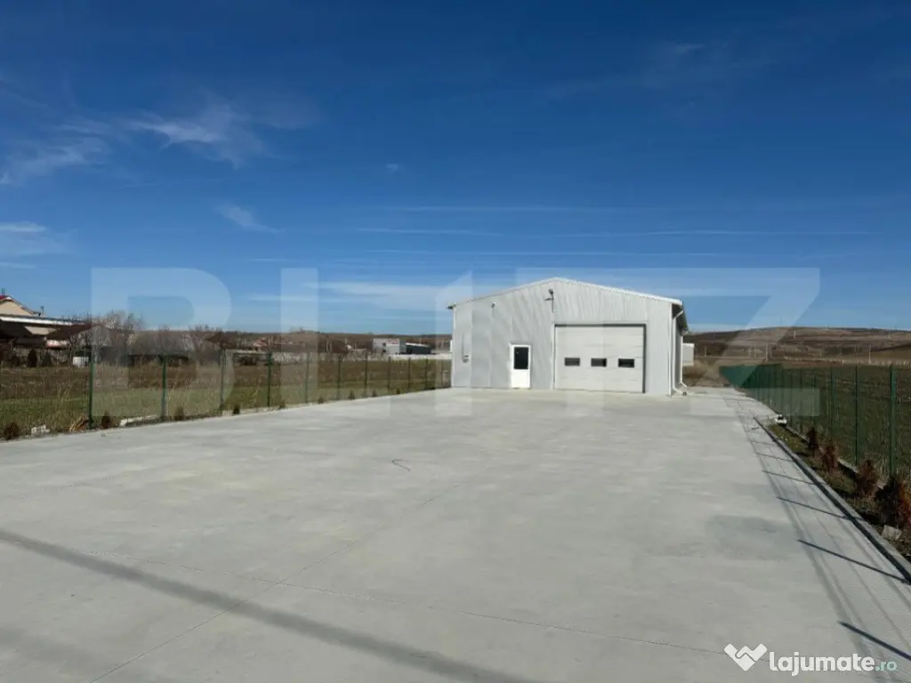 Hală 194 mp utili, platformă betonată 770 mp și teren to