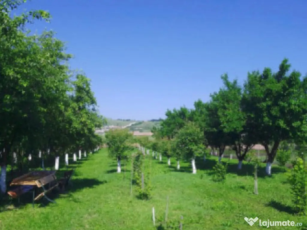 Casa de vanzare in Calan 
