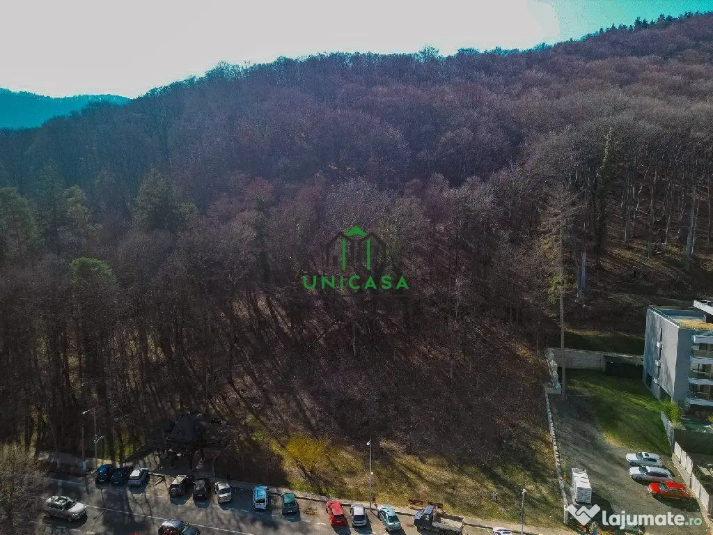 Teren - Caciulata - Deschidere la E81