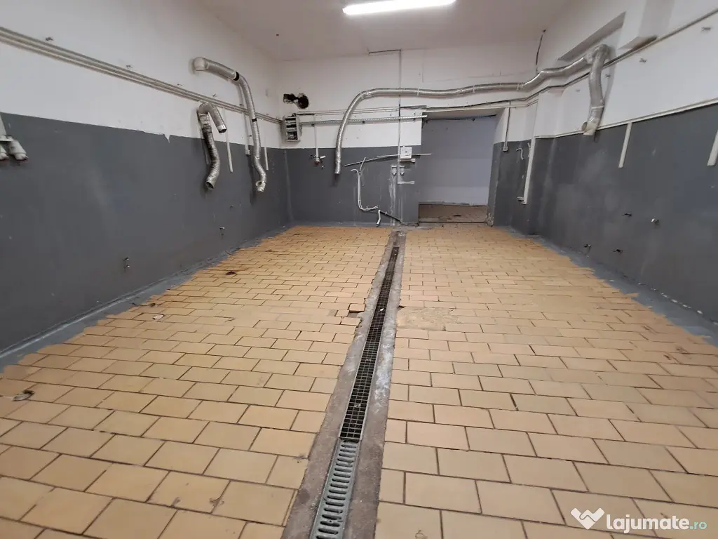 Spatiu sup.265 mp depozitare/productie Calea Baciului 