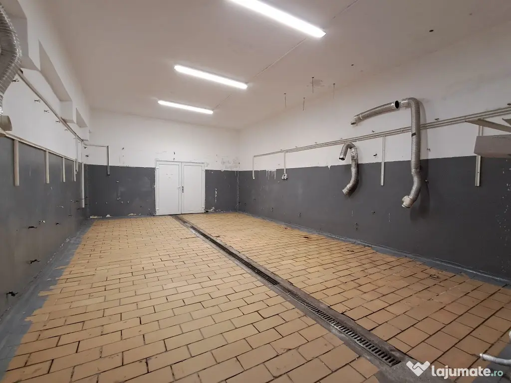 Spatiu sup.265 mp depozitare/productie Calea Baciului 