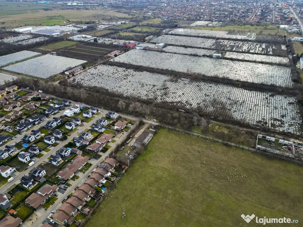Teren Intravilan de 15.300 mp în Grădiște, Arad 