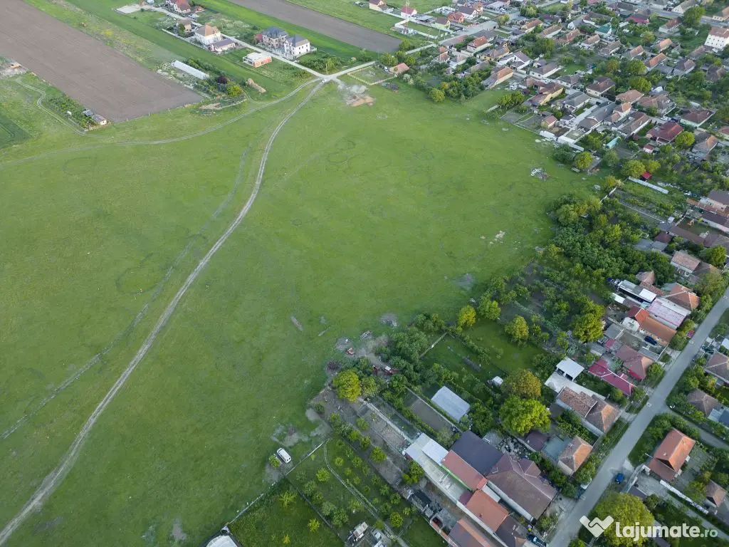 Teren intravilan 5,44 ha, Vladimirescu 