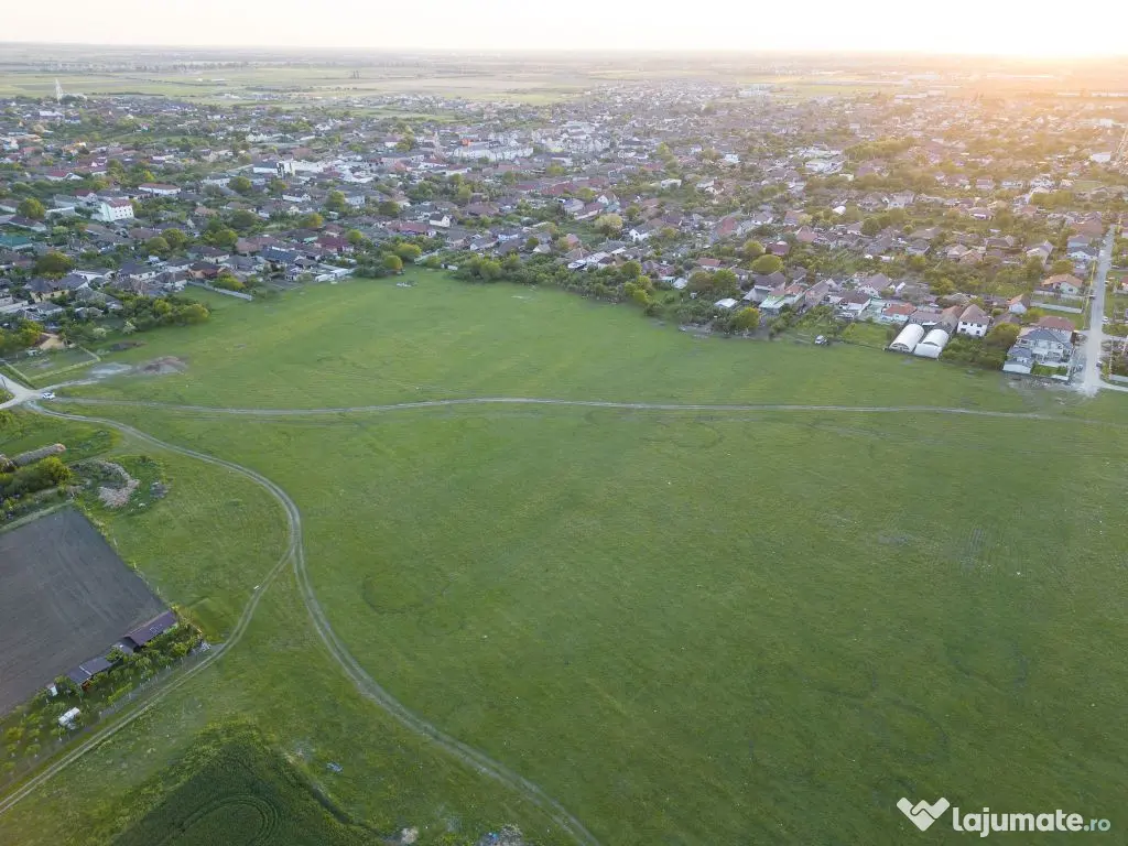 Teren intravilan 5,44 ha, Vladimirescu 