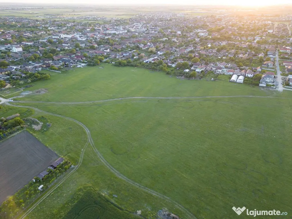 Teren intravilan 5,44 ha, Vladimirescu 