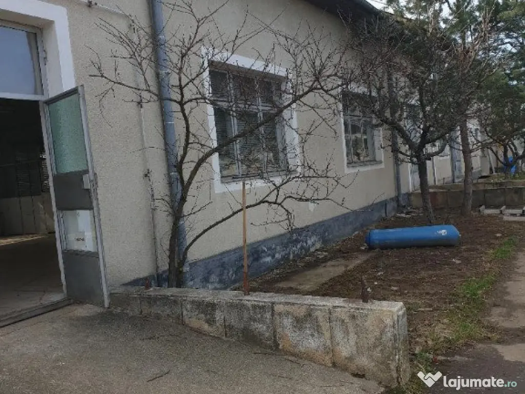 Hale P+E ,SC 9000 mp , teren 14500 mp , Zona Centura -Metro, 1000kw