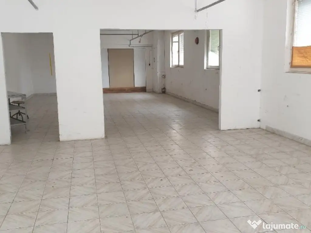 Hale P+E ,SC 9000 mp , teren 14500 mp , Zona Centura -Metro, 1000kw