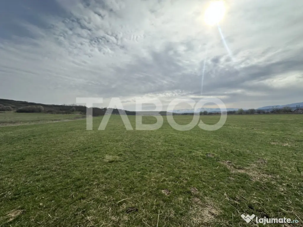 Teren 23.486 mp, deschidere 80 m, ideal comercial/industrial