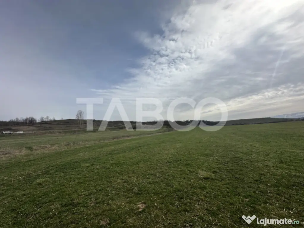 Teren 23.486 mp, deschidere 80 m, ideal comercial/industrial