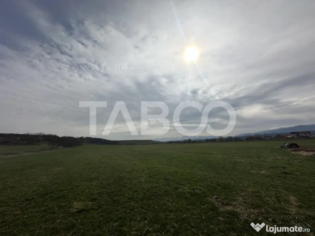 Teren 23.486 mp, deschidere 80 m, ideal comercial/industrial