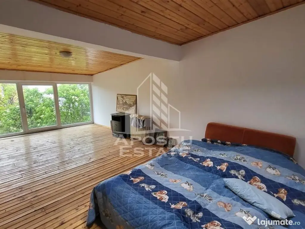 Casa ideala pentru birouri/alte activitati Mehala