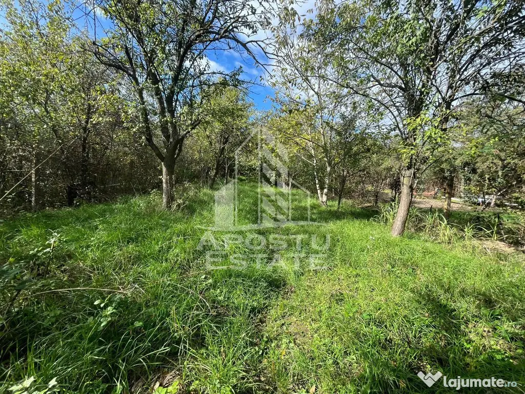 Casa cu 4 camere si teren de 2698 mp in zona Freidorf, Co...