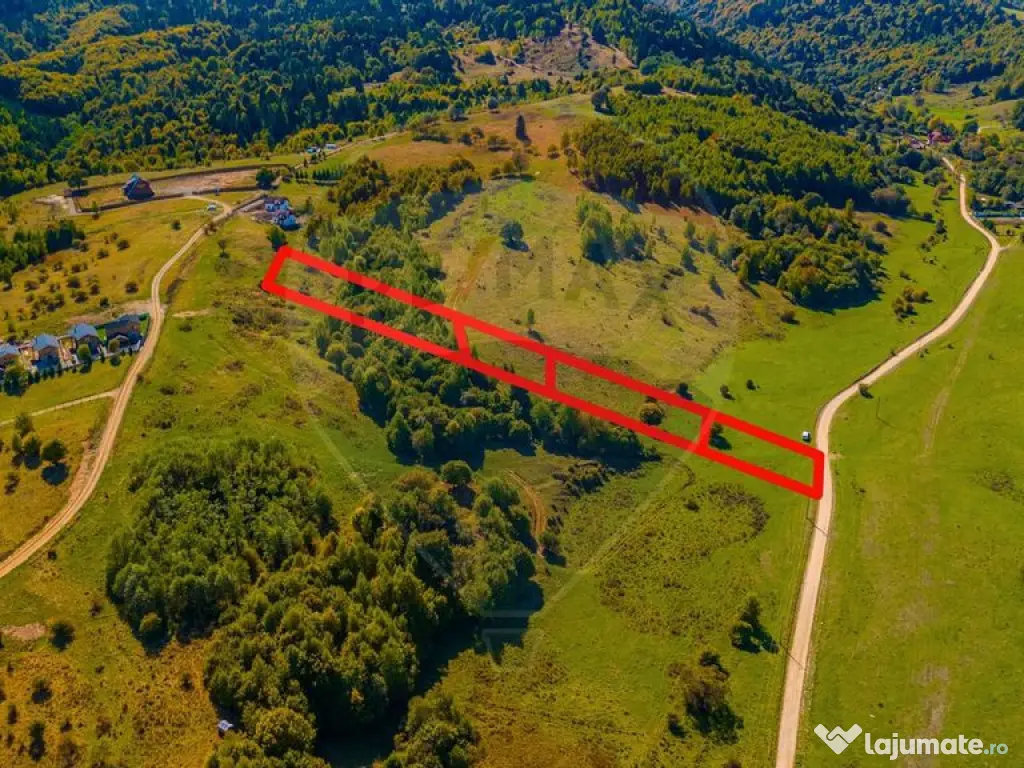 Teren Rasnov, Valea Panicelului 4253mp, izvor pe teren 