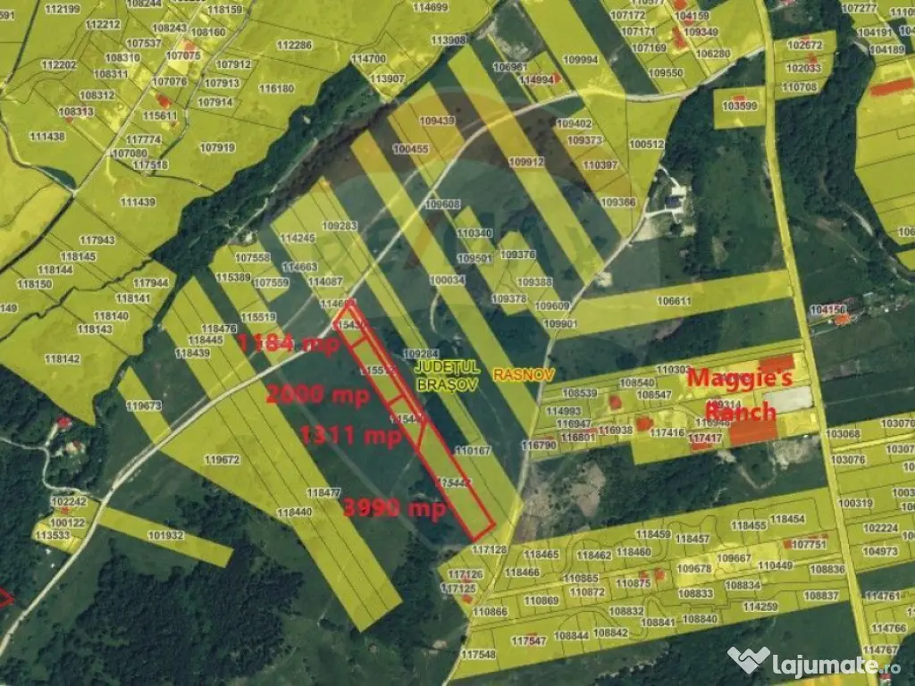 Teren Rasnov, Valea Panicelului 4253mp, izvor pe teren 