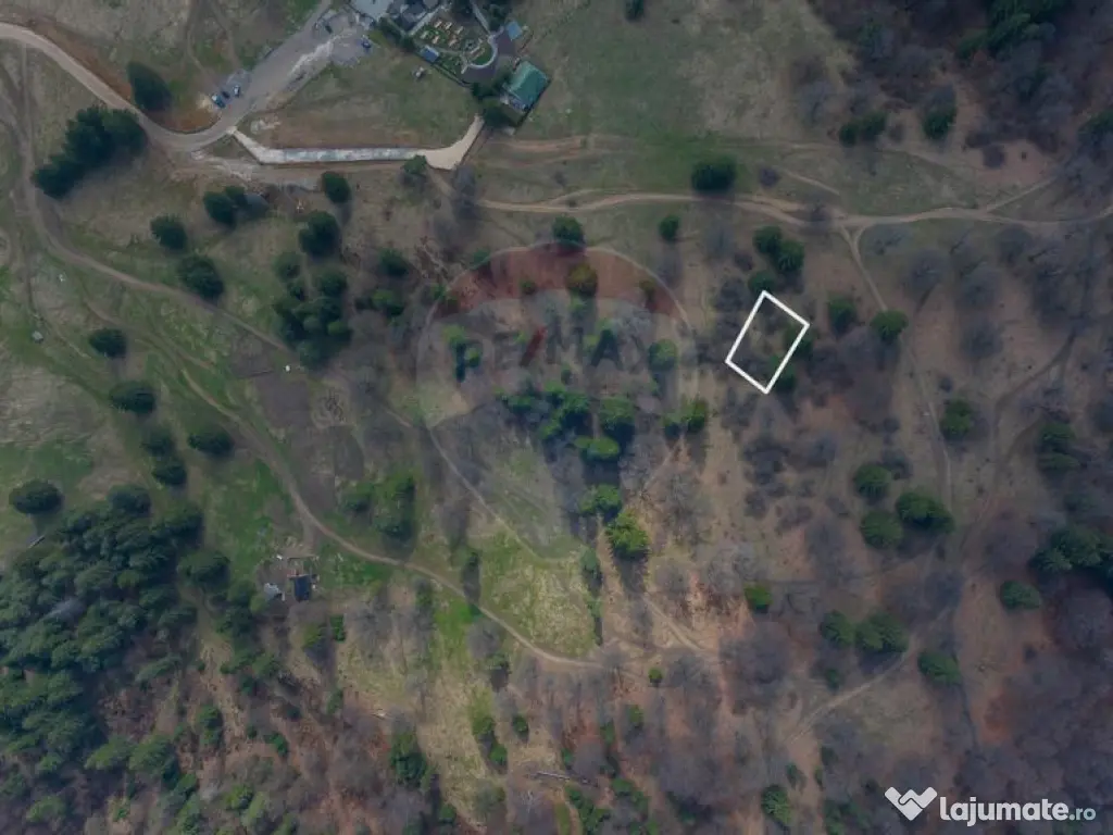 Teren intravilan – 2 x 500 mp în Poiana Mică | Invest...