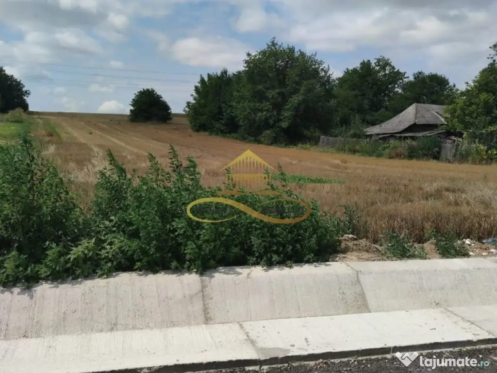 Teren intravilan 5400 mp de vanzare Filipesti / Bacau 