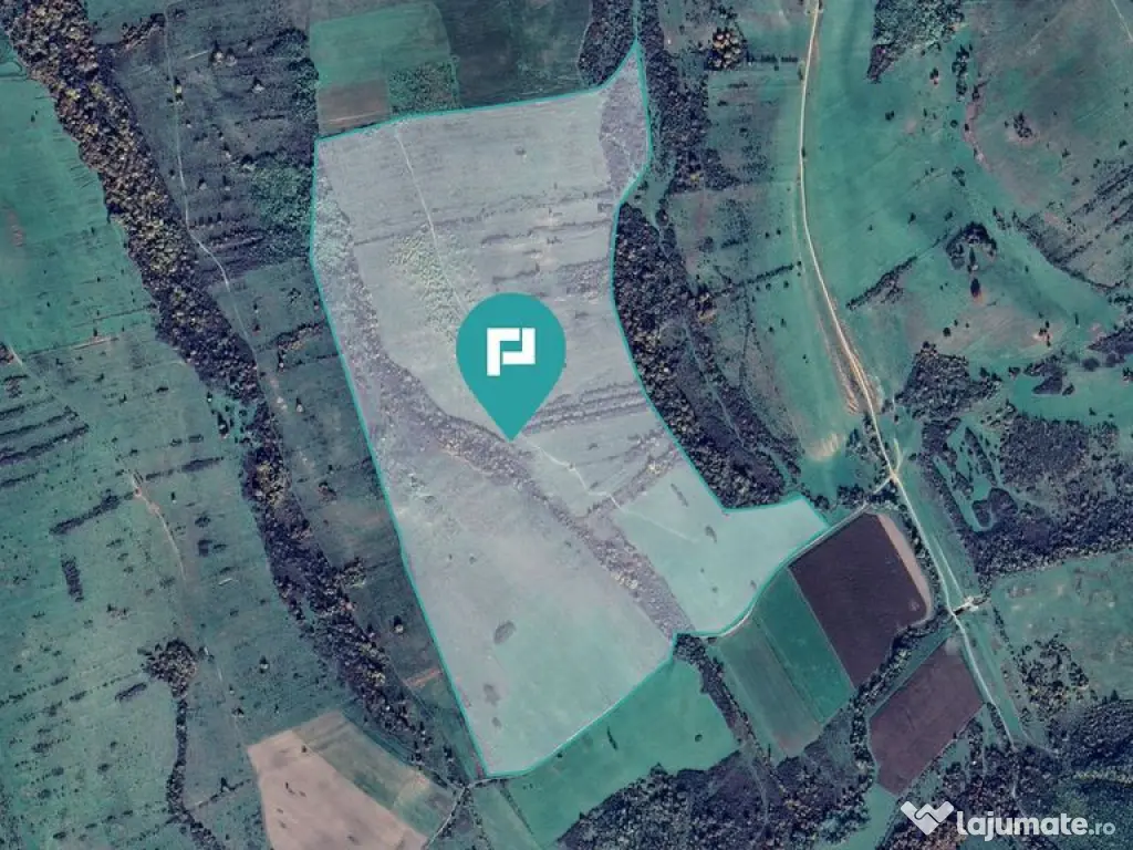 Teren de 87 Hectare de Arendat în Bara, Timiș 