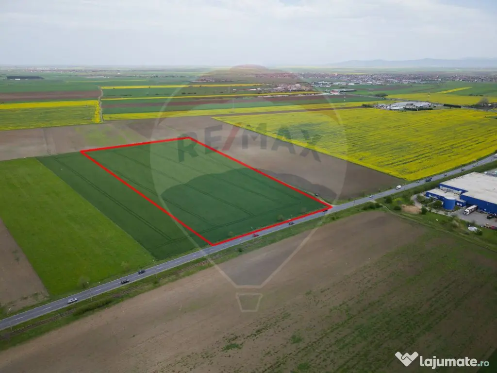 Teren 30,000mp Arad / Soseaua Centura Arad Nord 