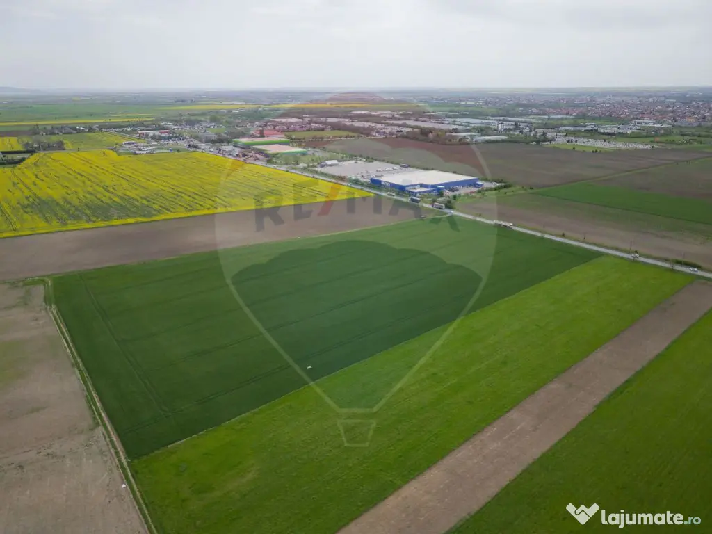 Teren 30,000mp Arad / Soseaua Centura Arad Nord 